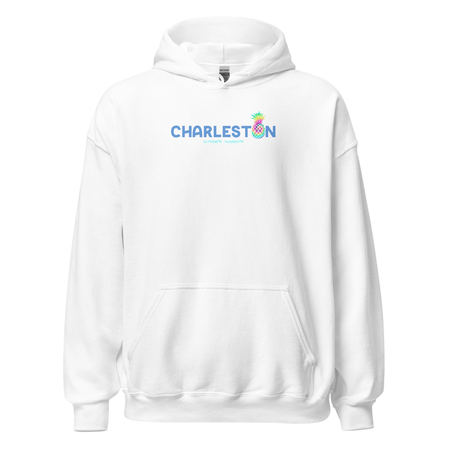 Charleston w/ Coordinates - Heavy Weight Hoodie